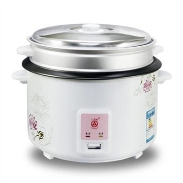 Ginger chicken and rice made in rice cooker